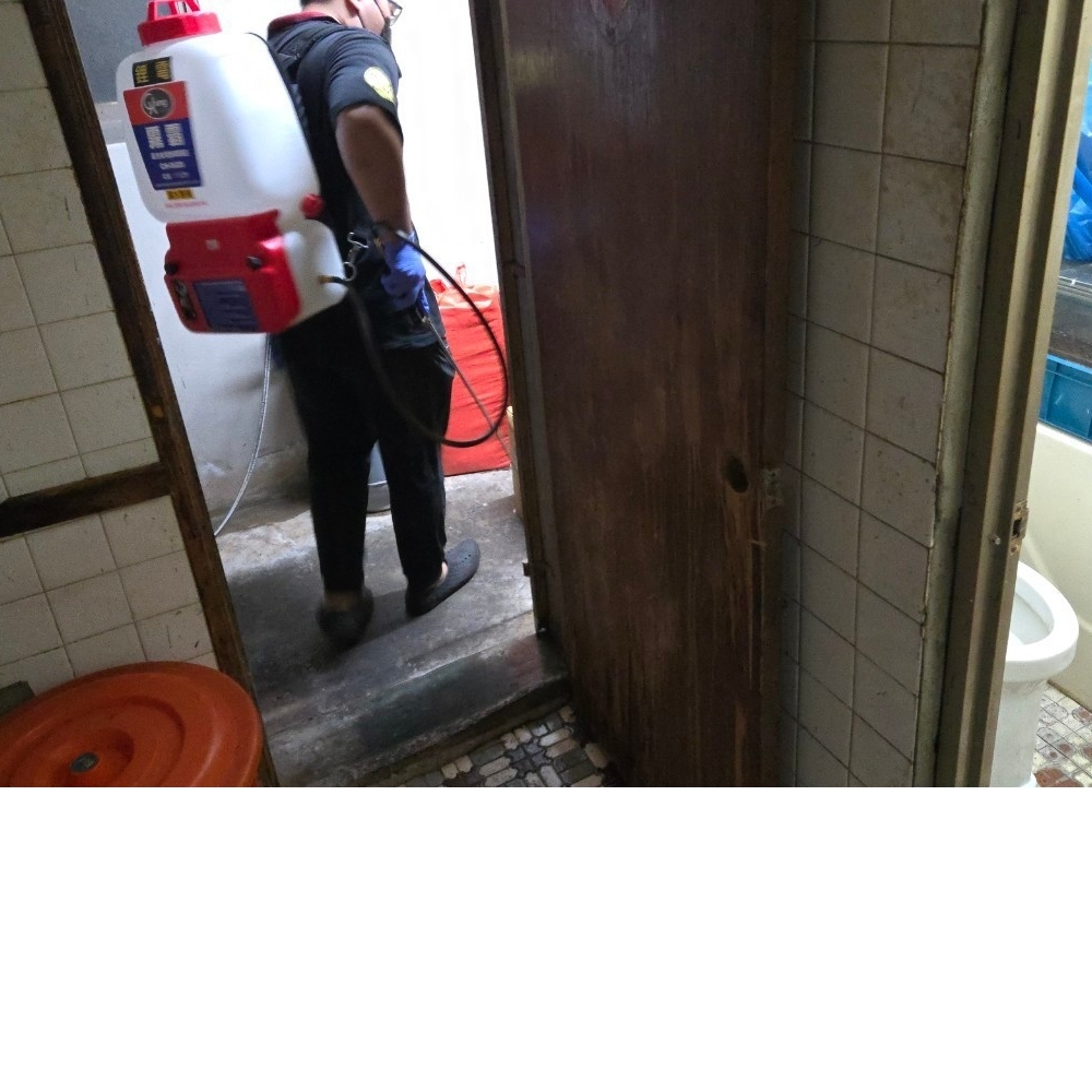 板橋區早餐店 / 大掃除/除蟲 / 台北除蟲公司