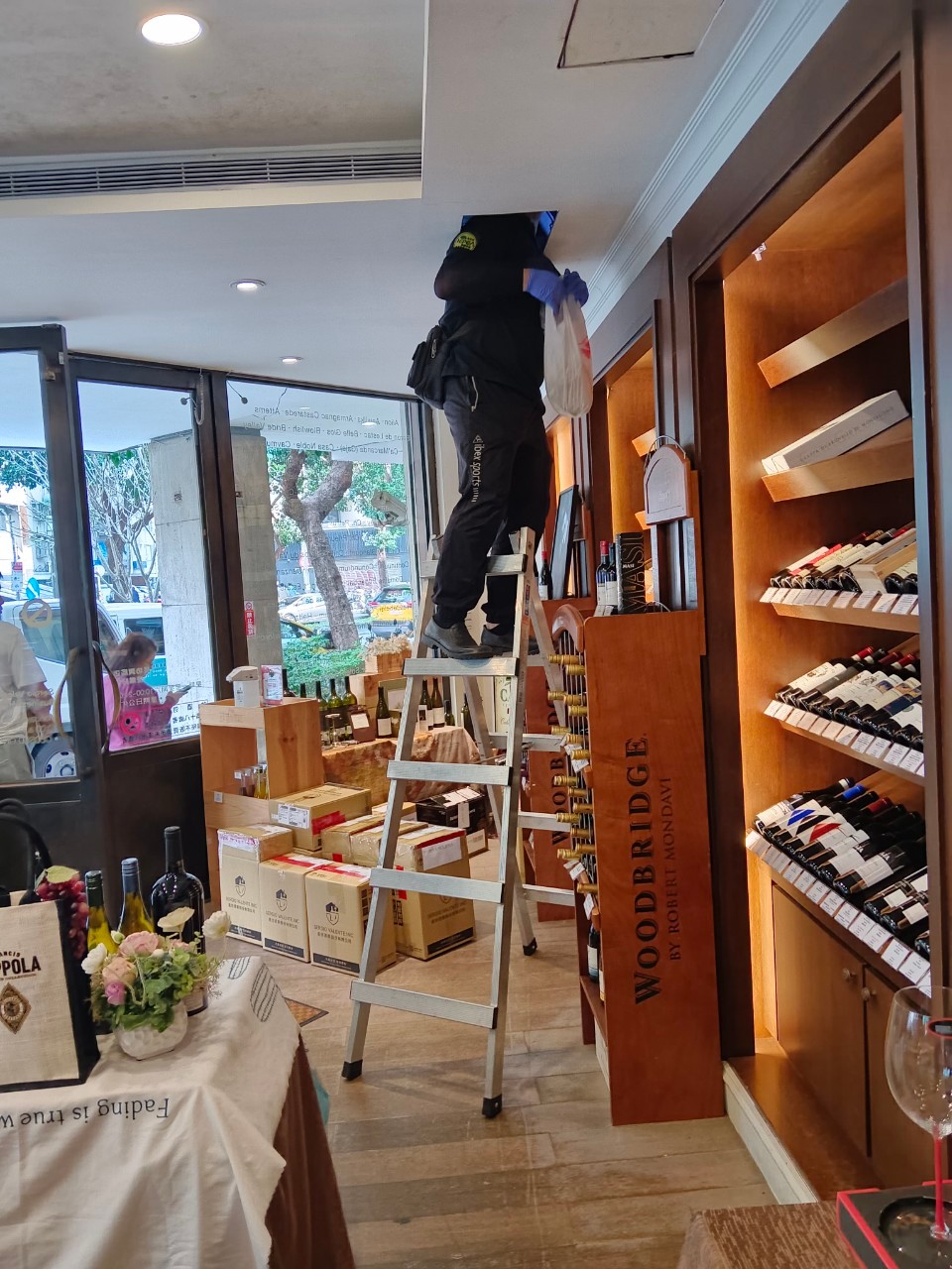紅酒專賣店／鼠害防治 / 台北除老鼠