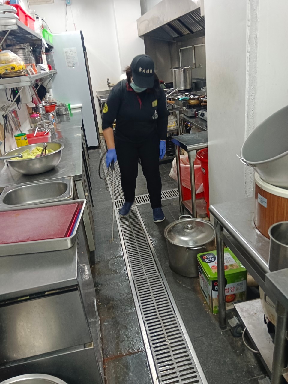 蘆洲區燒烤店／蟑螂防治、鼠害防治 / 台北除蟑螂