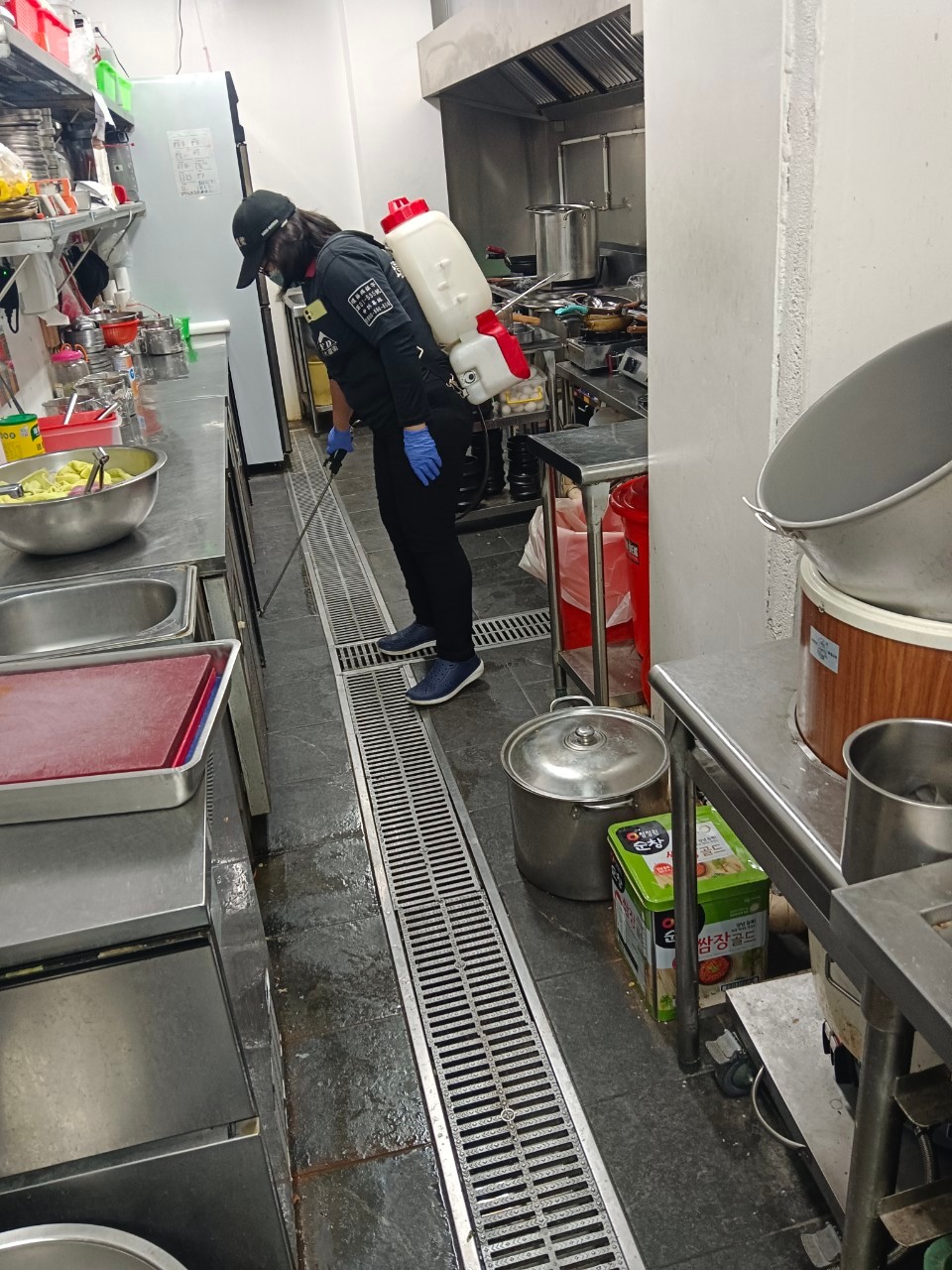 蘆洲區燒烤店／蟑螂防治、鼠害防治 / 台北除蟑螂