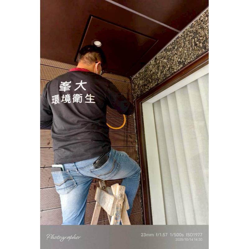 汐止區／白蟻防治 / 台北除白蟻 / 台北白蟻防治