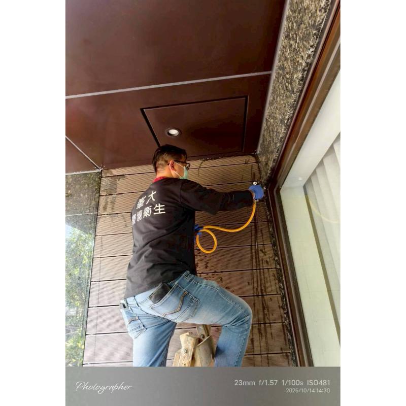 汐止區／白蟻防治 / 台北除白蟻 / 台北白蟻防治