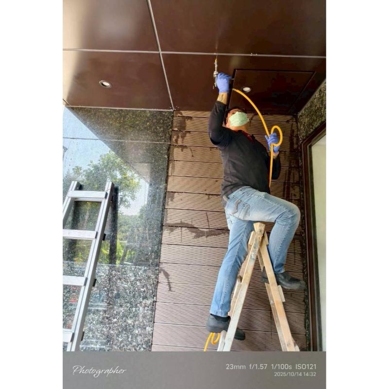 汐止區／白蟻防治 / 台北除白蟻 / 台北白蟻防治