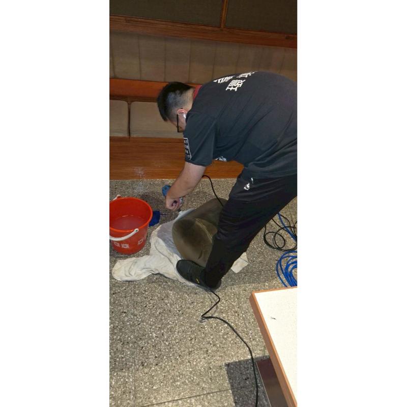 中山區餐廳-沙發清洗/台北沙發清洗/台北沙發清潔