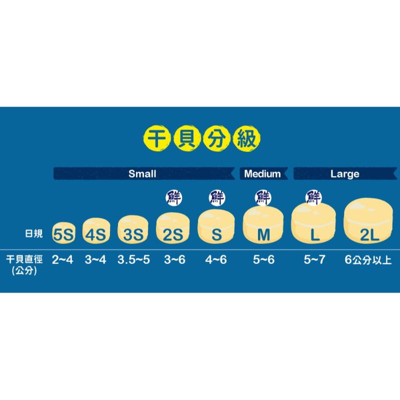日本生食級干貝M/1盒/26~30顆1KG
