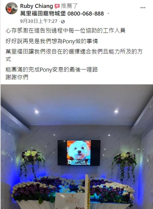 寵物火化 個別火化 寵物死亡