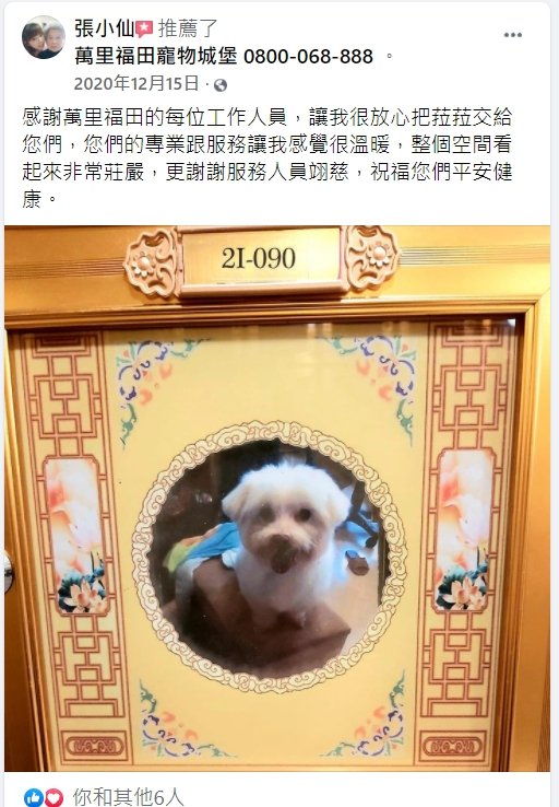 貓咪死亡要火化