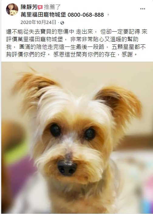 狗狗死亡要火化