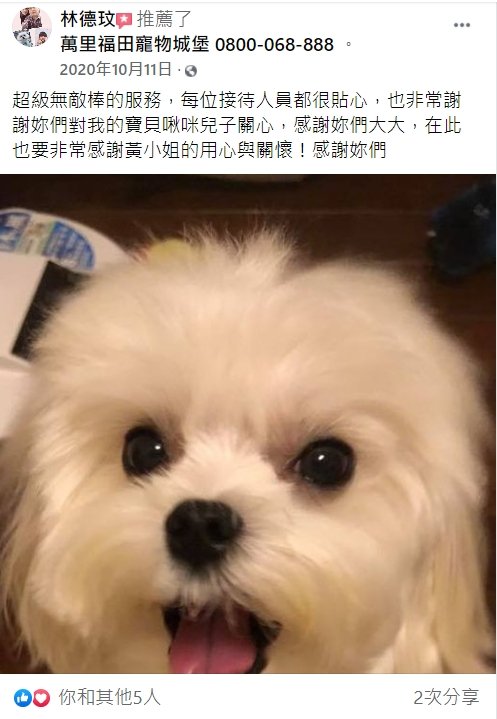 兔子死了要火化