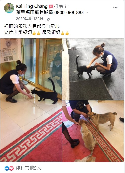 新北市動物寵物死了要火化