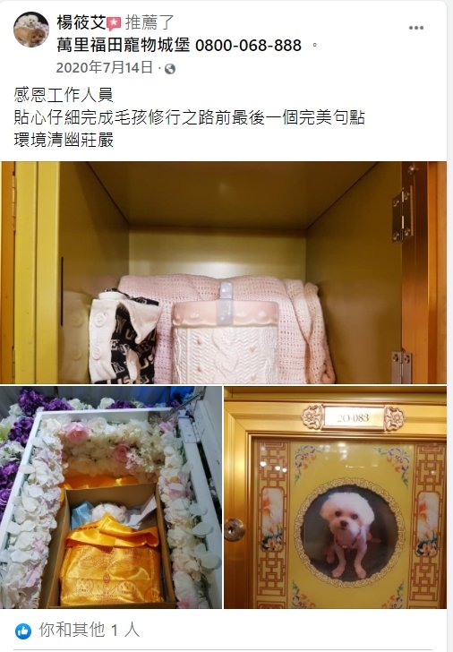 我家的狗死了怎麼辦