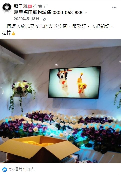 貓咪死掉了要火化嗎