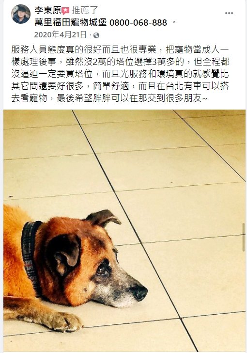 動物要怎麼火化