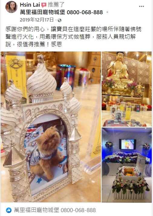 烏龜可以火化嗎