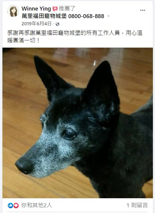 寵物往生告別服務