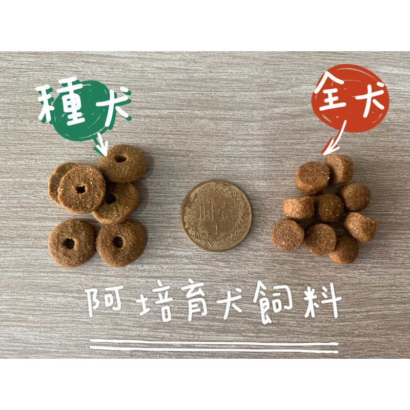 狗狗飼料5KG｜種犬
