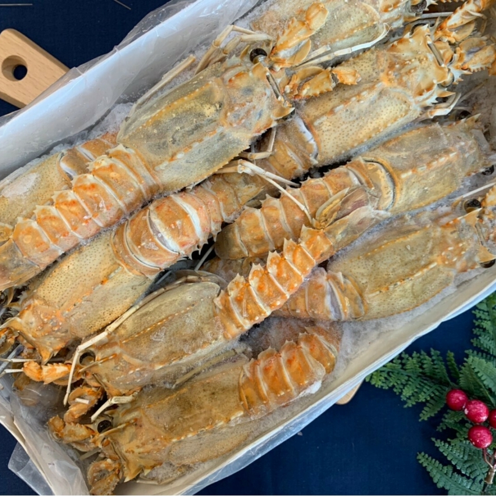 生凍深海角蝦M 1.5kg/盒