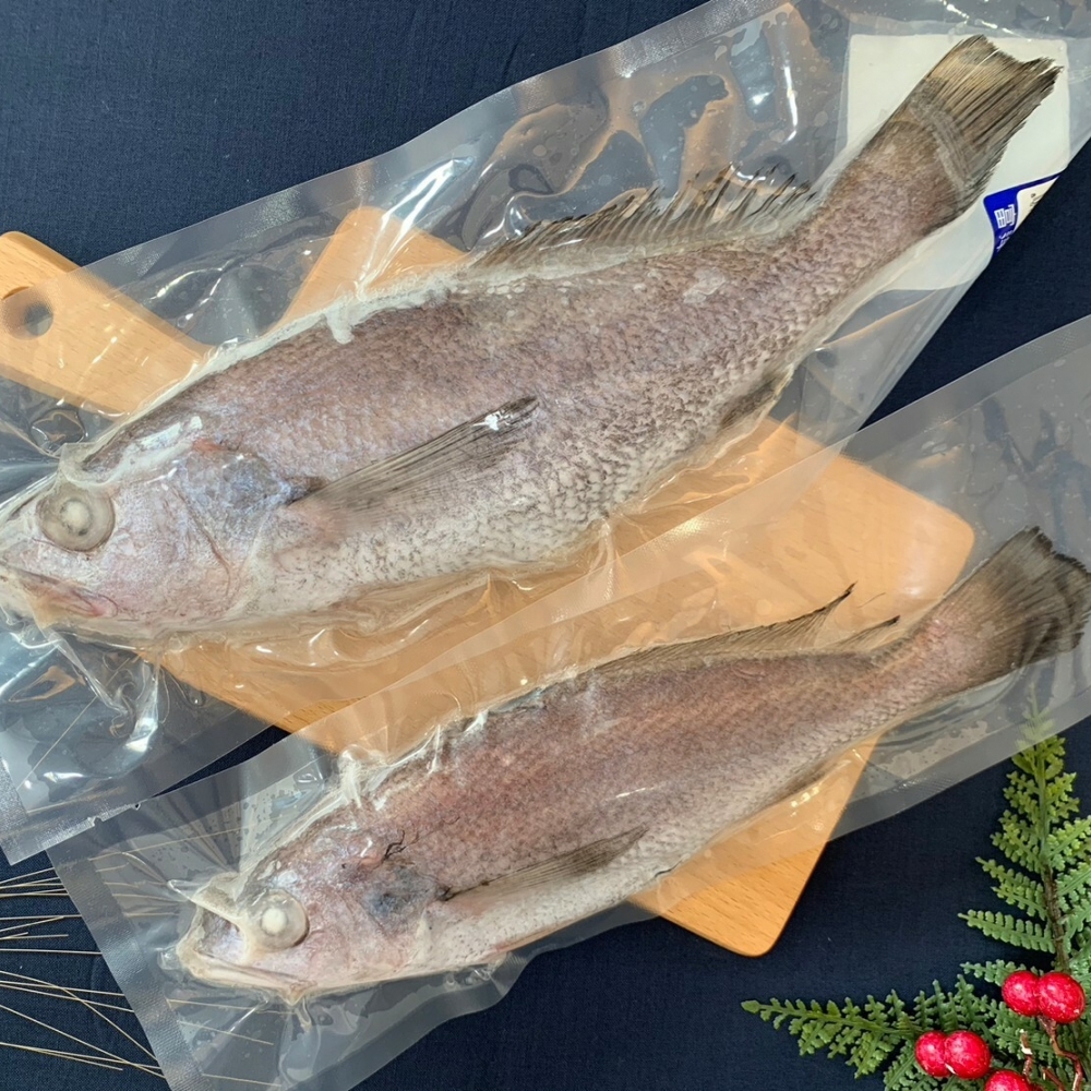澎湖野生黑喉320-450g/隻(黑加網)/澎湖海鮮批發