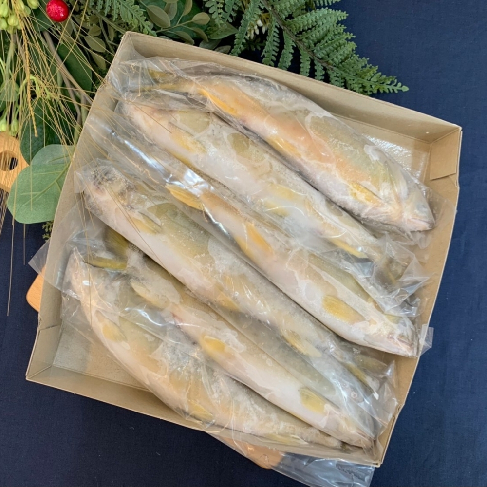 母香魚 6P/盒