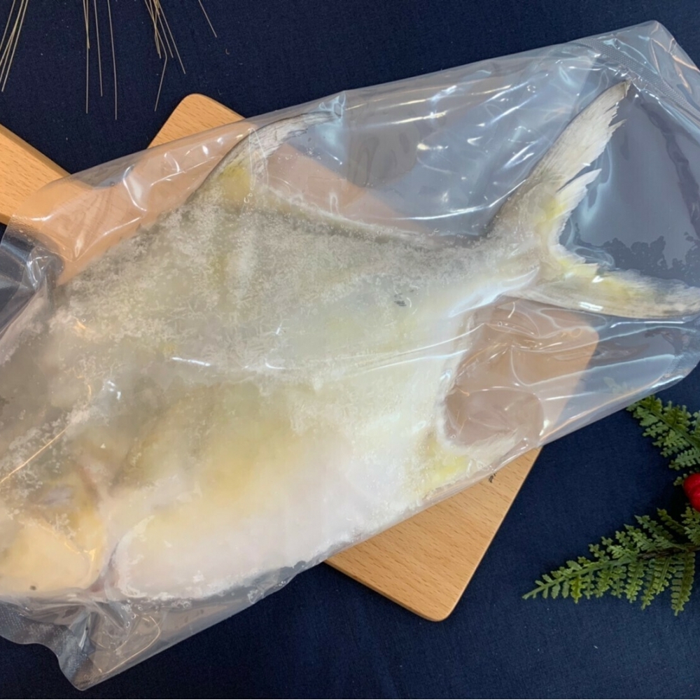 本產金鯧魚600g-