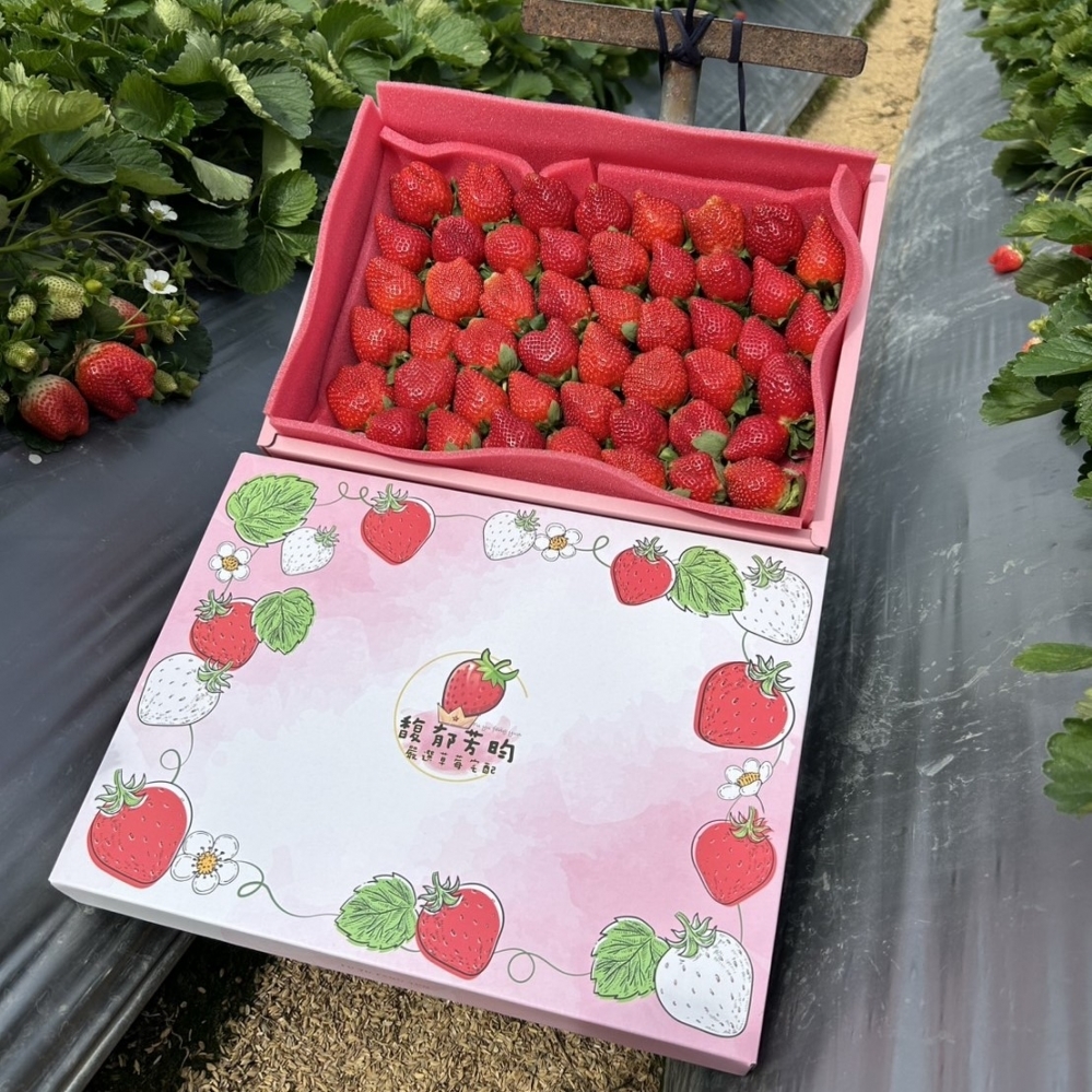 草莓禮盒1號【草莓季已結束、暫不受理】