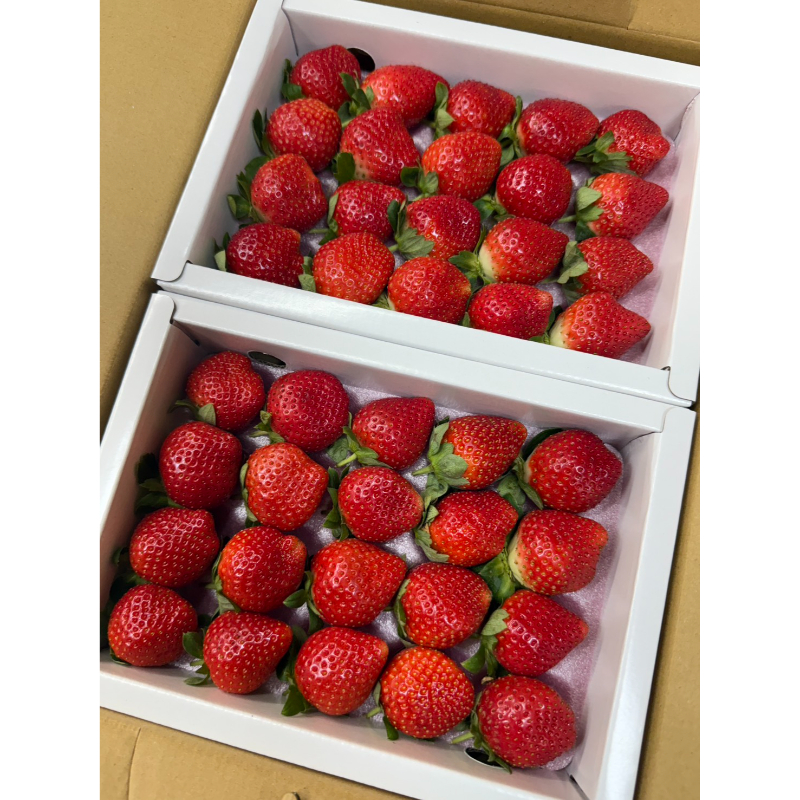 （草莓季已結束、暫停受理，請勿下單）香水草莓禮盒20顆