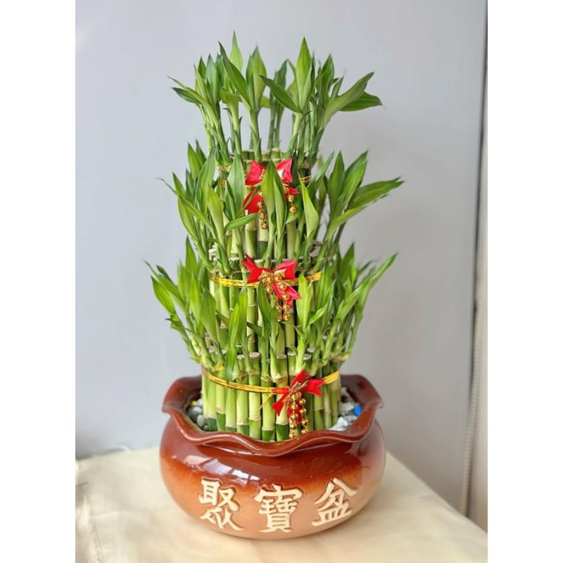 開運竹019