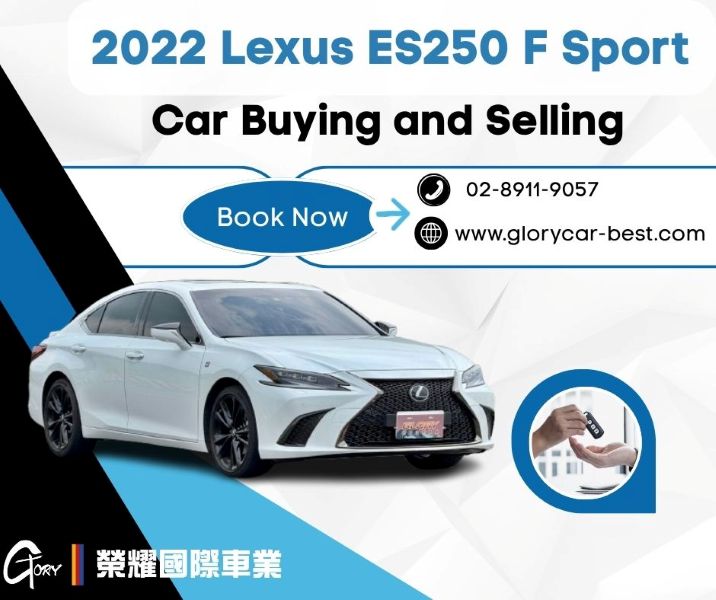 Lexus ES250 F-Sport 