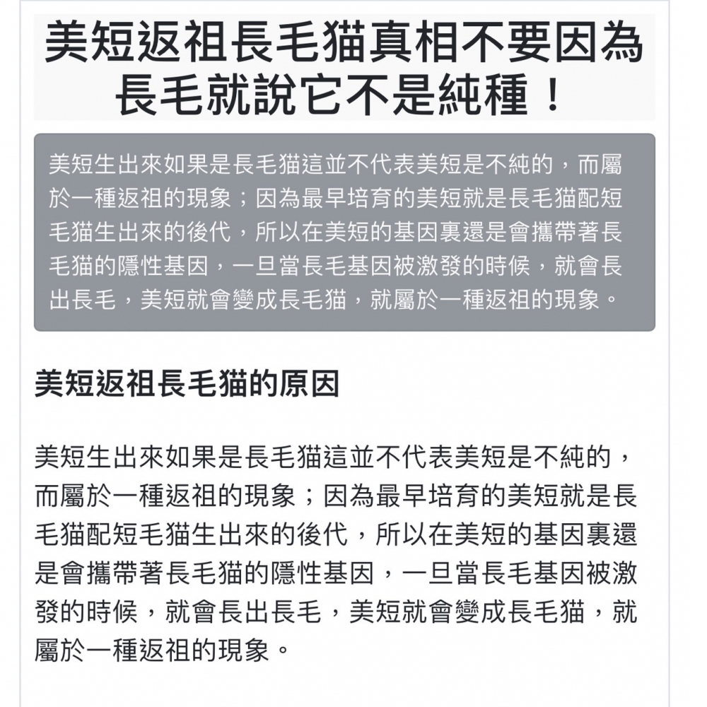 銀白螺旋紋㊚弟弟 （☆已有家★）