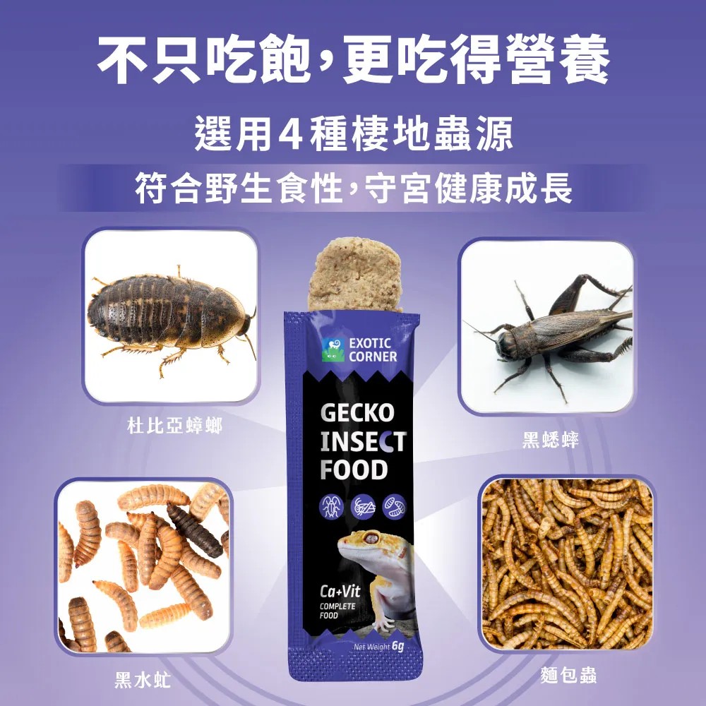 角落水族-守宮蟲泥主食
