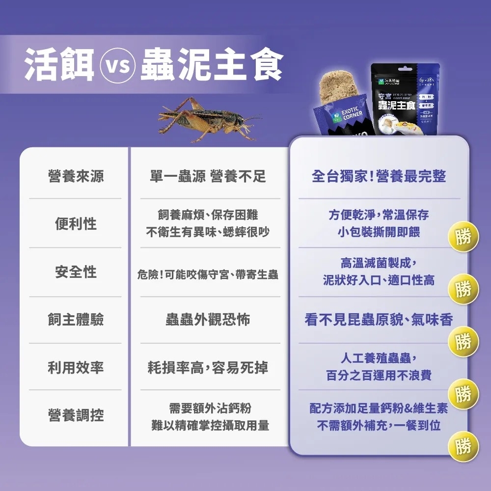 角落水族-守宮蟲泥主食