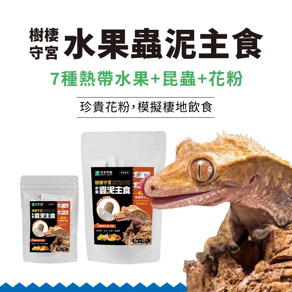角落水族-樹棲水果蟲