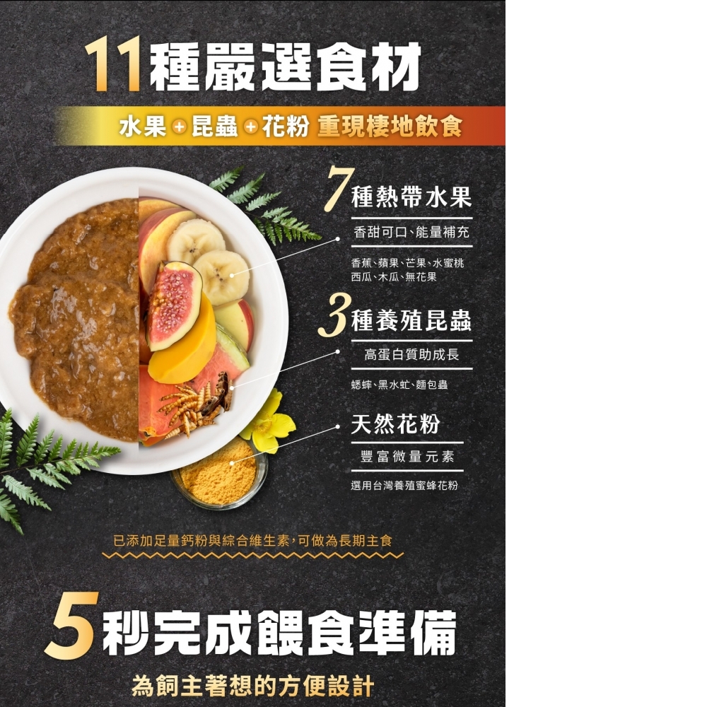 角落水族-樹棲水果蟲泥主食