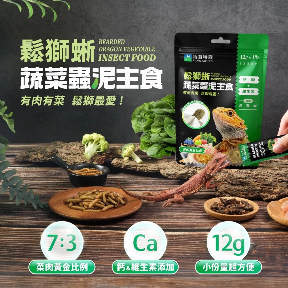 角落水族-鬆獅蜥蔬菜