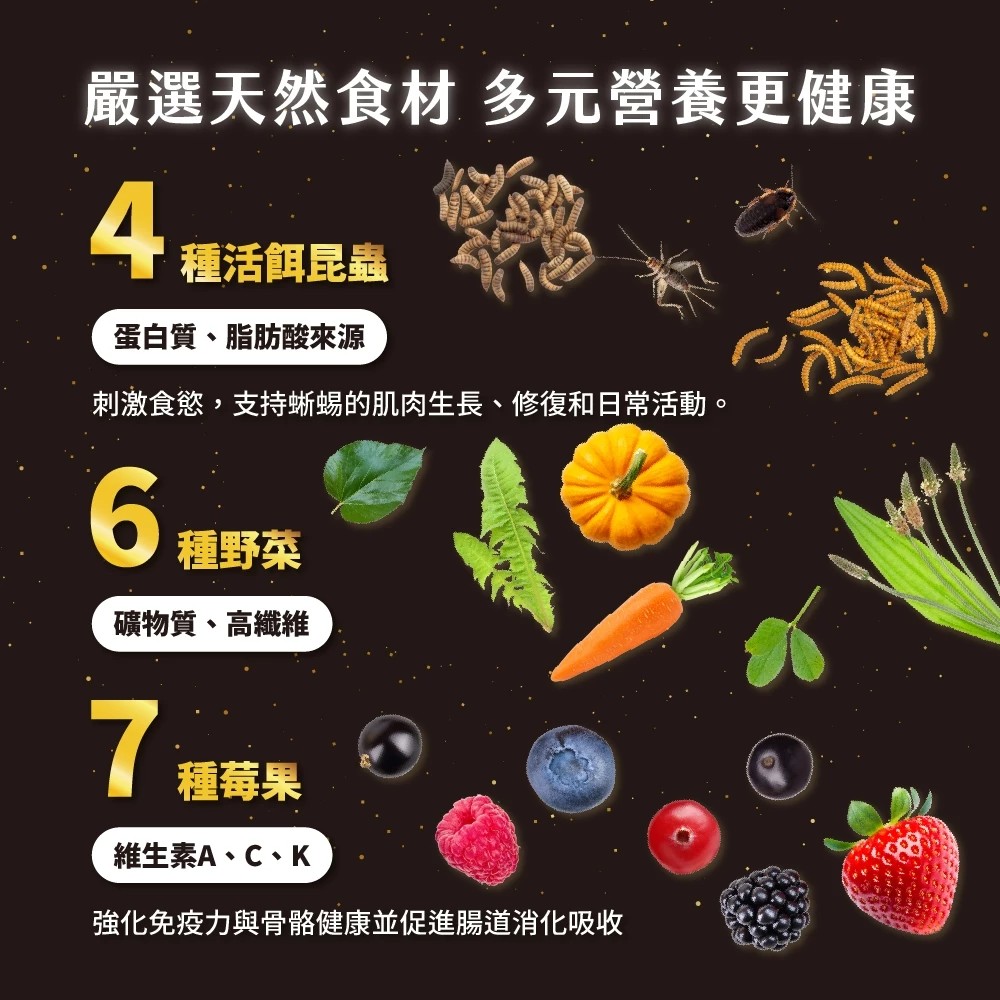 角落水族-鬆獅蜥蔬菜蟲泥主食