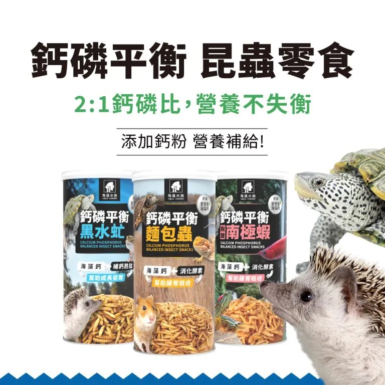 角落水族- 乾燥麵包
