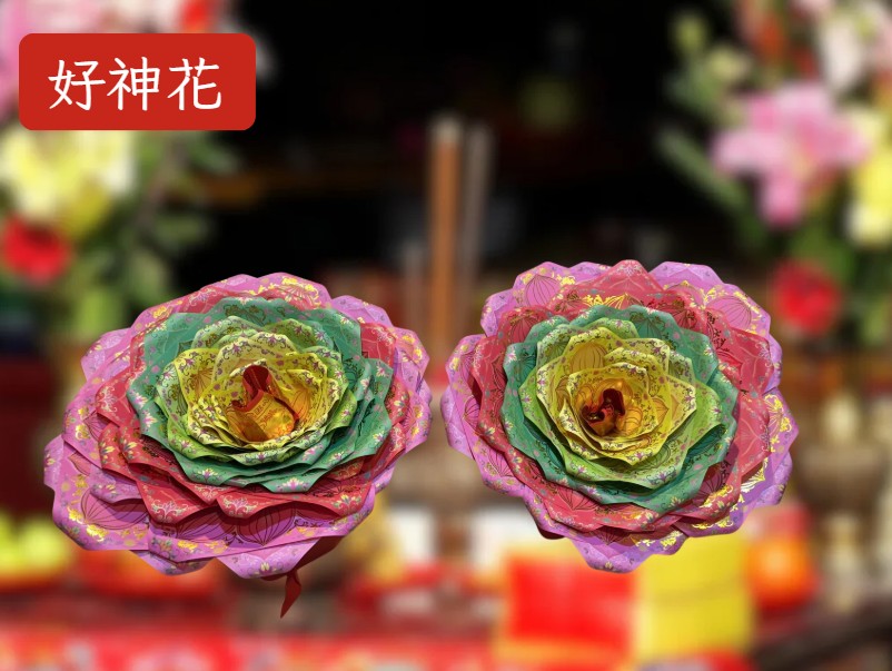 [好神花]三重區A1-057丁心雅