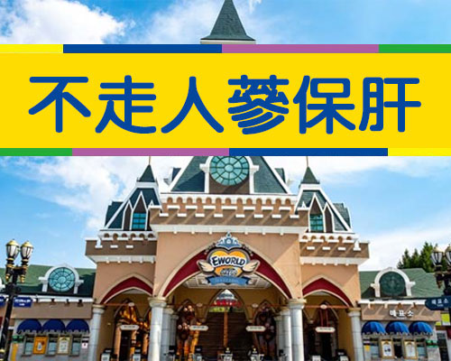 《不走人蔘保肝》釜山