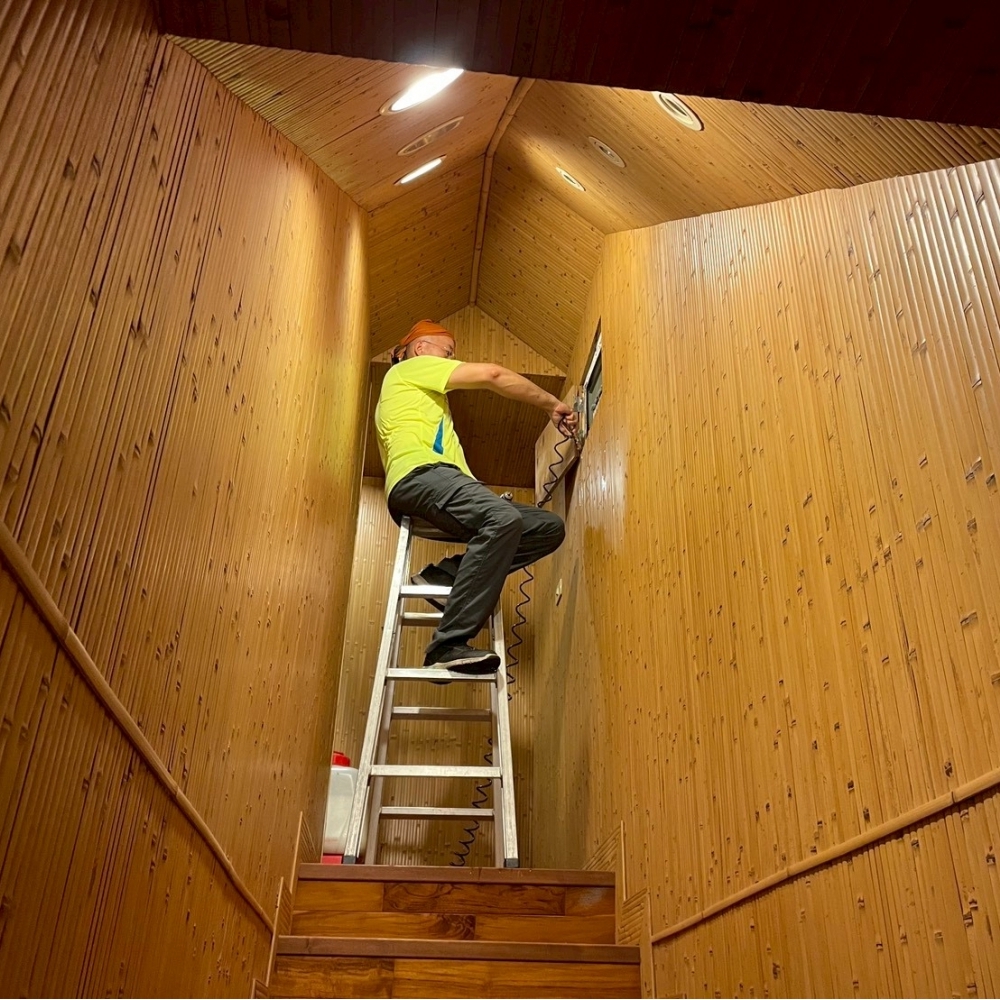 台北除白蟻