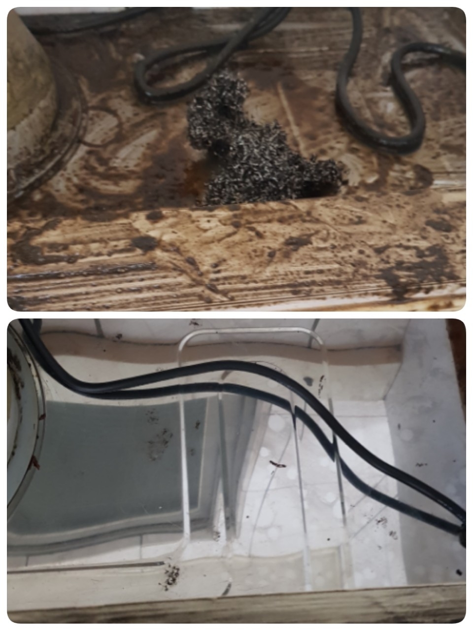 廚房與地板清潔