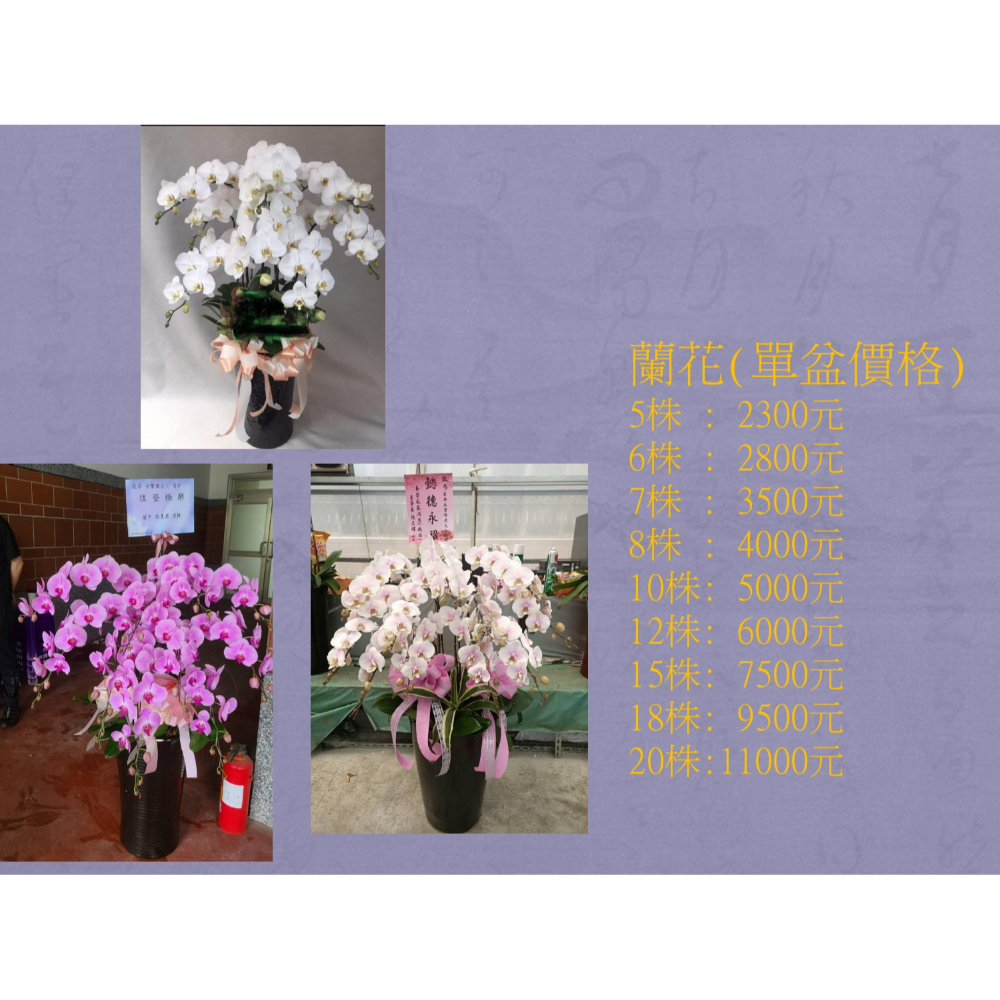 蘭花