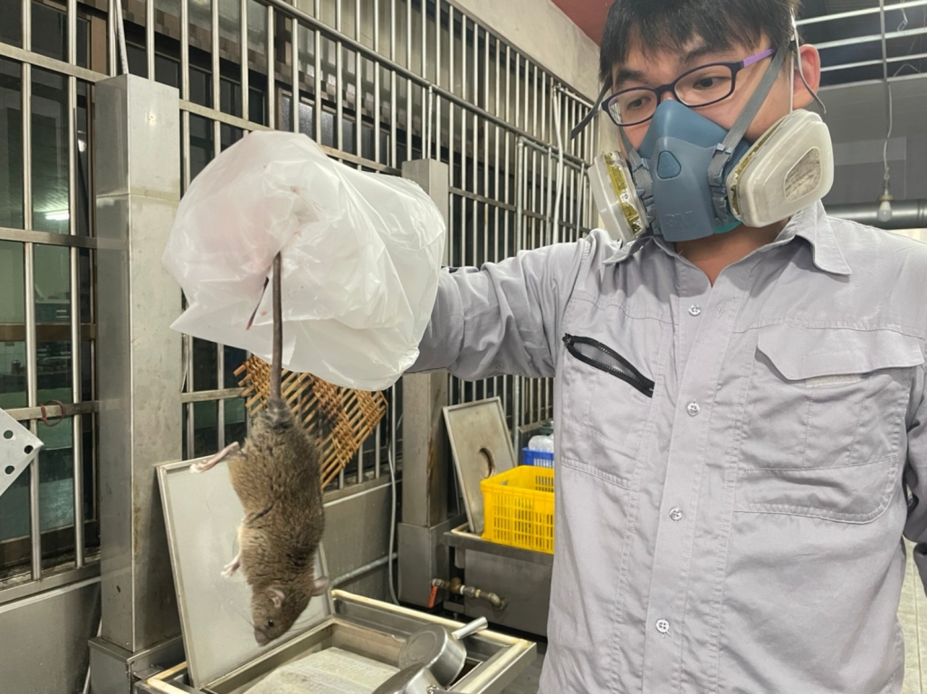 鼠害防治