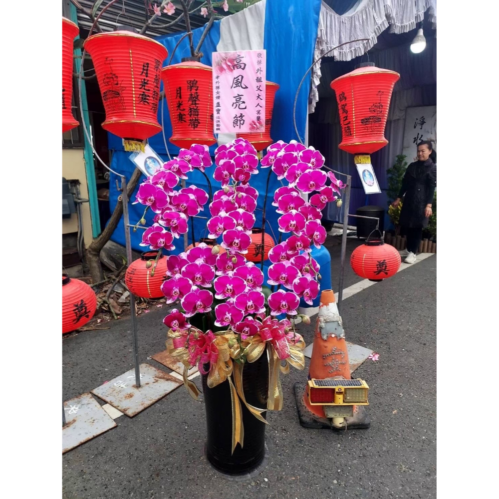 蘭花