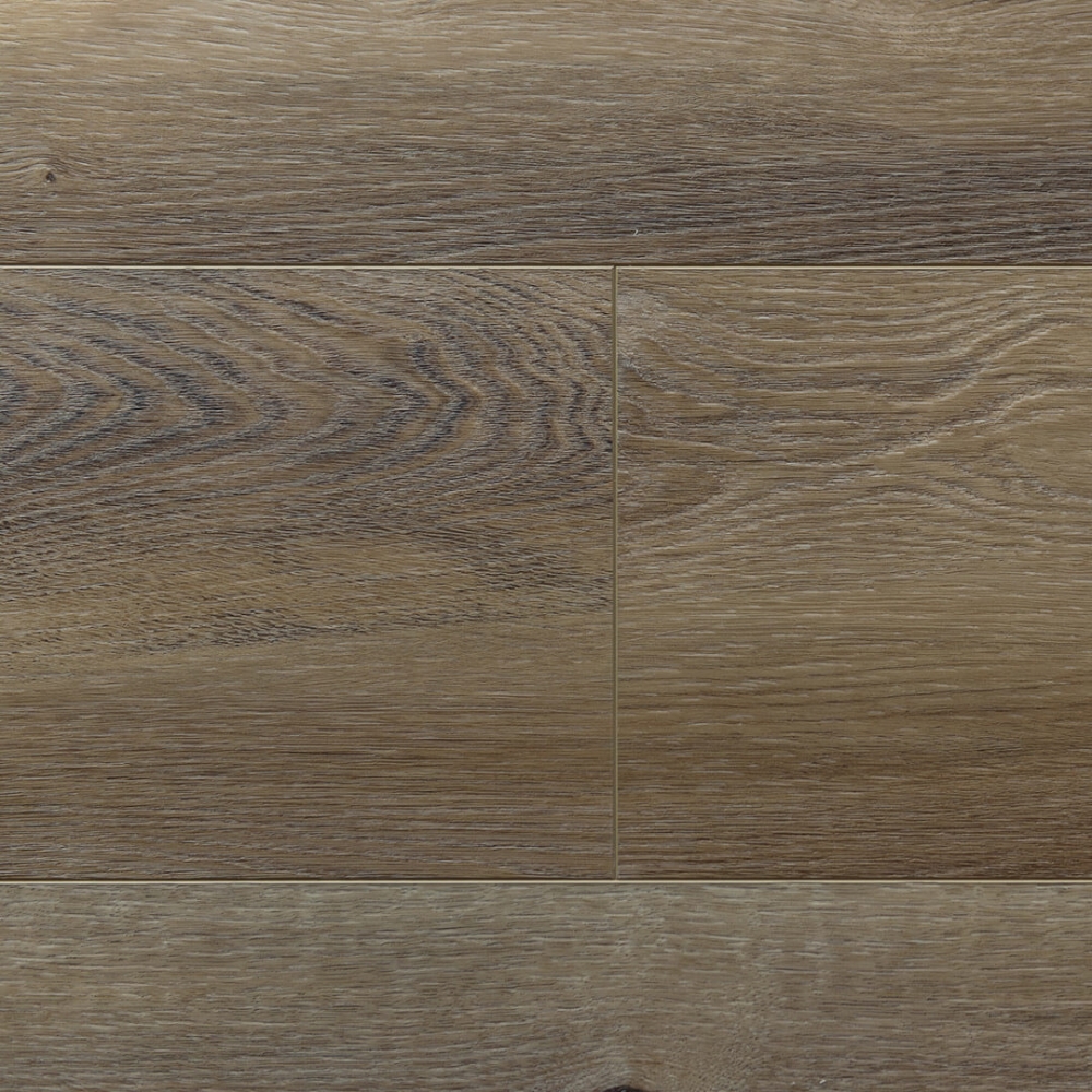 VSPC9SP-桑德波因特