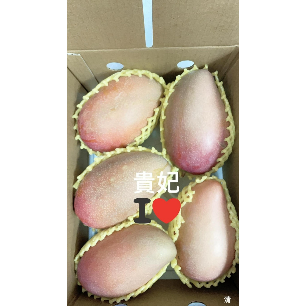 【已完售】貴妃芒果