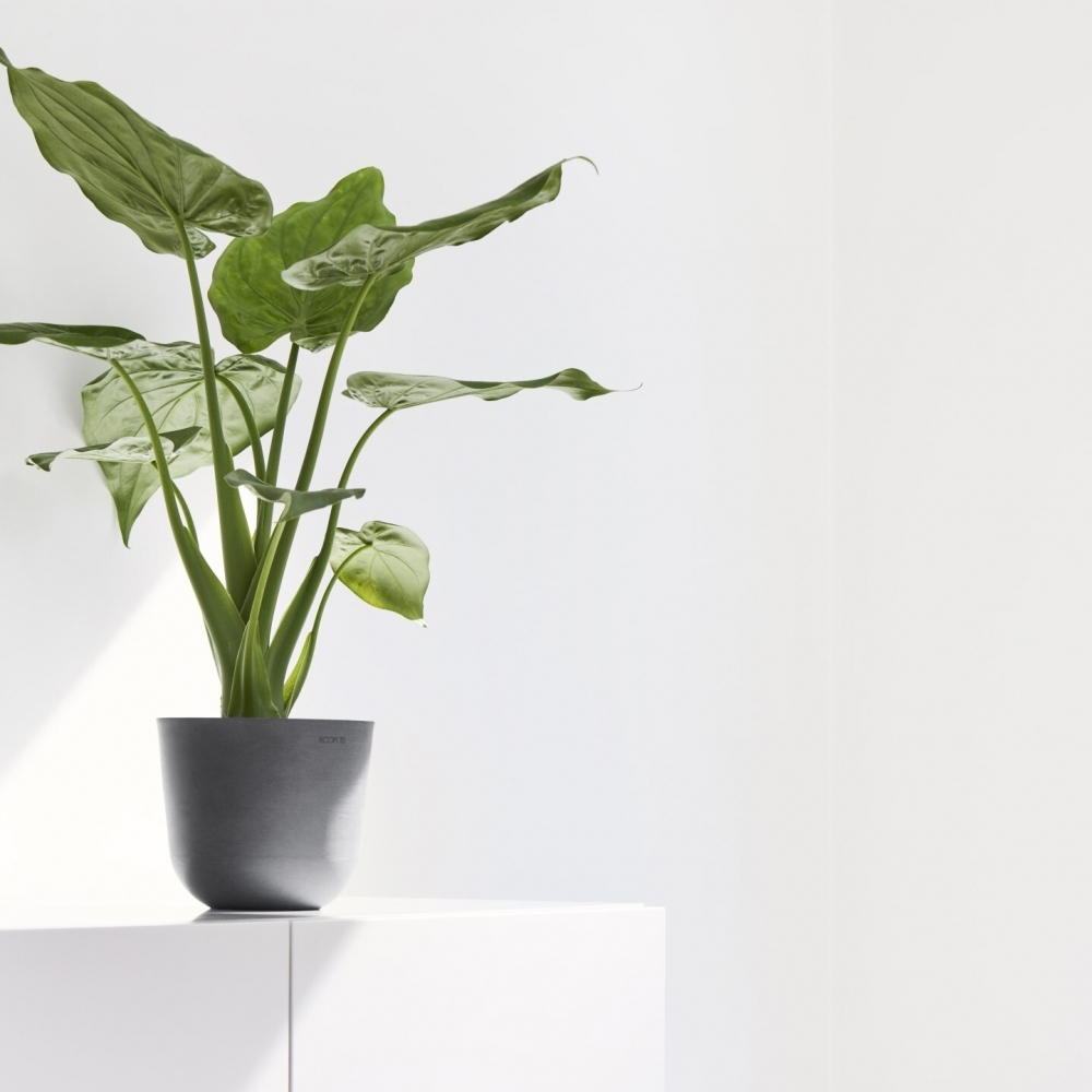 Ecopots Oslo 奧斯陸  16cm 圓盆 