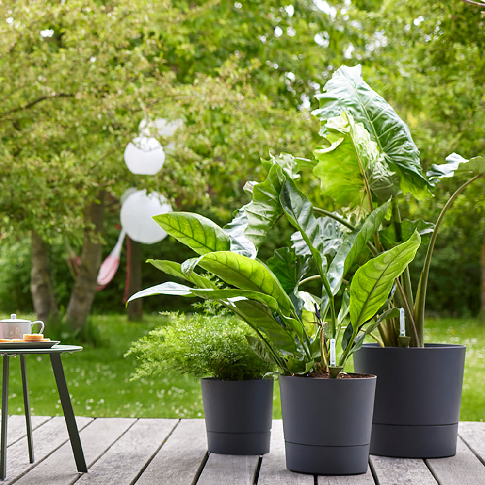 elho 格林森圓盆(附水位計、附輪) Ø30cm