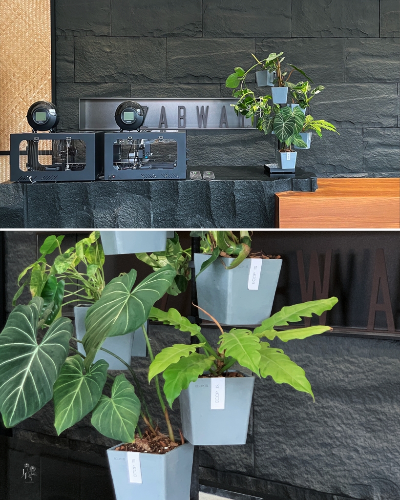 十月國際-店面植栽規劃