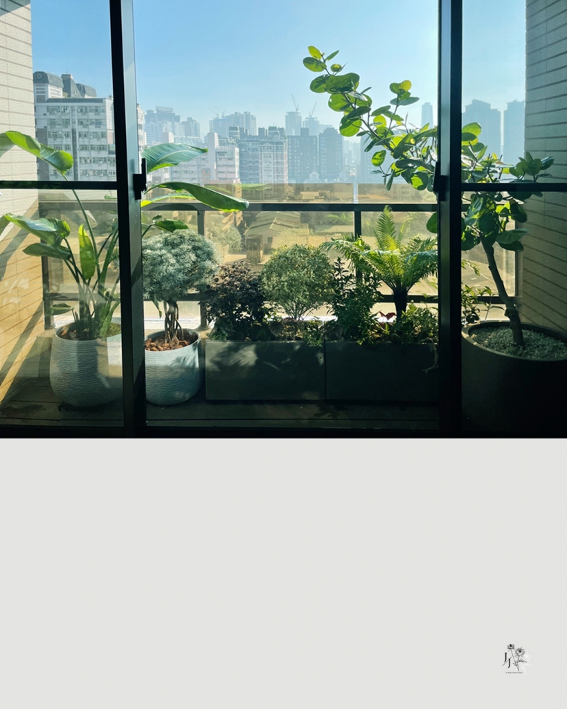 陳府-陽台植栽規劃