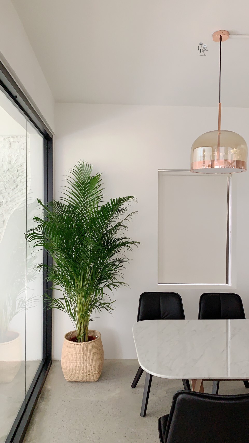 辦公室植栽規劃